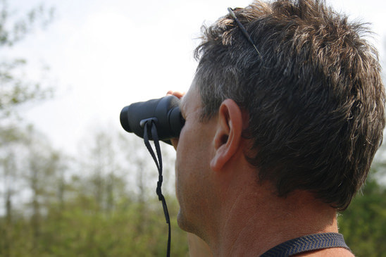 Vogelbeobachtung mit einem Fernglas Vogelbeobachtung